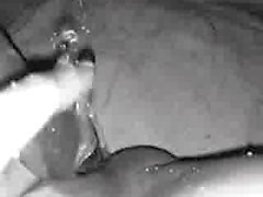 BBW Büyük Gushing Squirt