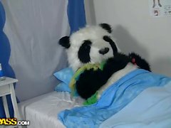 Smutsa ner könet för att bota a sjuk panda