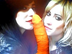 Lisa e di Jessica Origliasso ( The Veronicas )