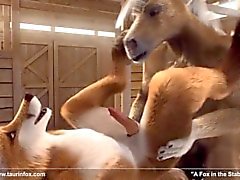 Fox In The Stable - Fox In The Stable | porno film N2087256