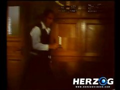 Herzog Best of 70s - Лучшее из х от студии HERZOG